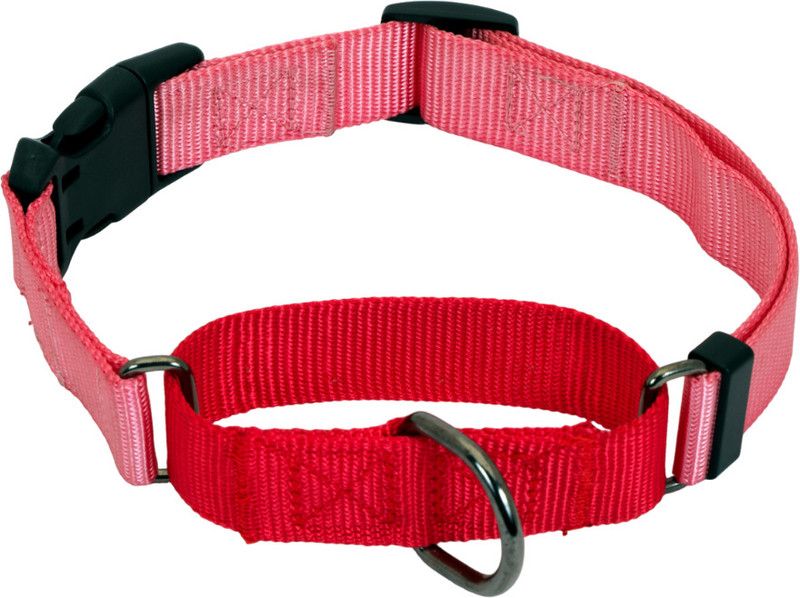 GLUCKLICH Martingale Nylon Collar Dog Collar with Quick release buckle Dog Martingale Collar  (Large, Pink)