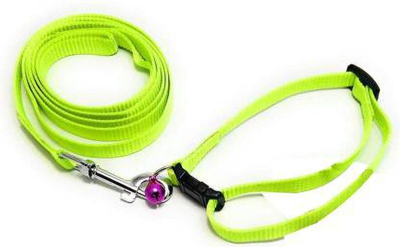 PEDIGONE Good Quality 1/2 inch Green Puppy Collar Belt/Puppy Belt Dog Collar & Leash  (Medium, green)