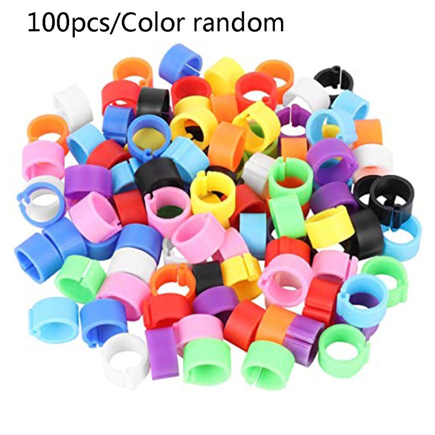 TE 100 Pcs Pigeons Rings 8mm Bayonet Identification Ring Opening Pigeon Ring Color Pigeon Foot Ring Pigeon Supplies