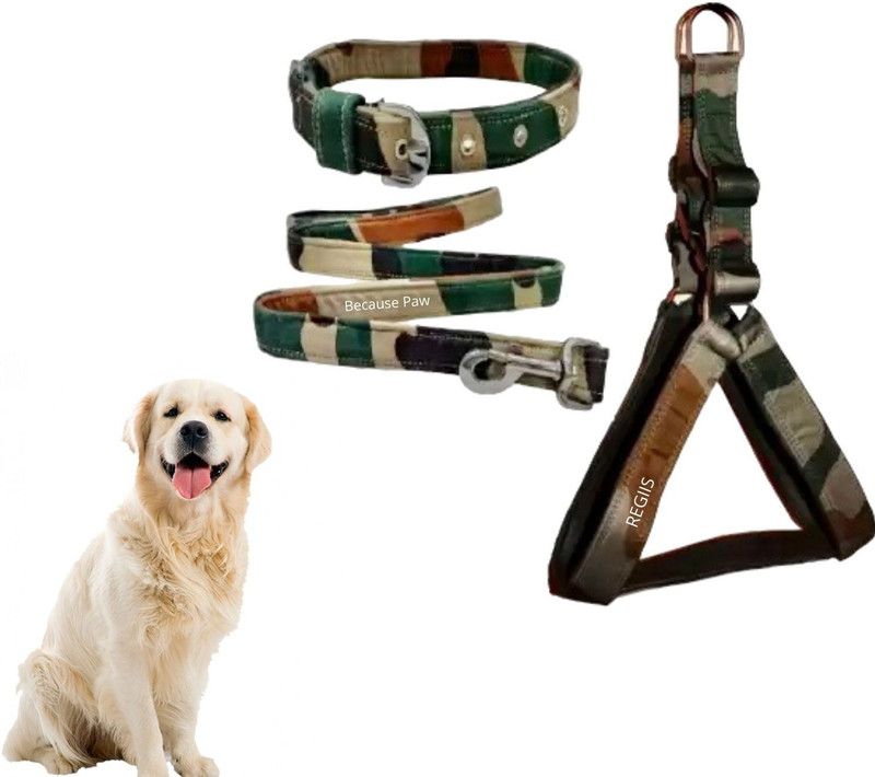 Regiis Dog Set Of Harness, Leash & Collar For Medium Dogs Dog Harness & Leash  (Medium, Multicolor)
