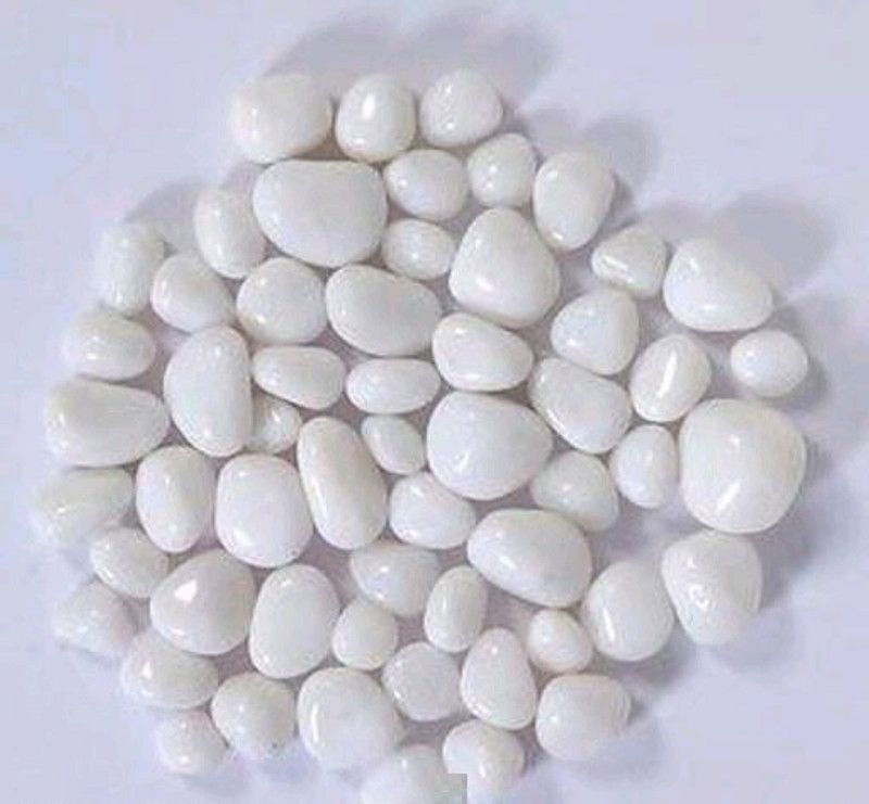 sama White Pabbles/Stone For Garden, Plants, Aquarium & Home Decor (0.5kg) Marble Unplanted Substrate  (White, 0.5 kg)