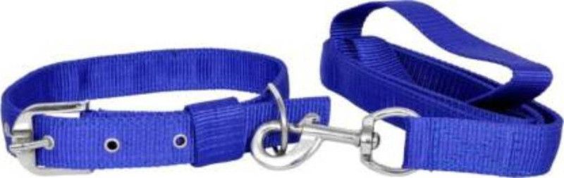 Veditya GOOD QUALITY 1 INCH BLUE COLOR DOG COLLAR BELT, Dog Collar & Leash  (Medium, Blue)