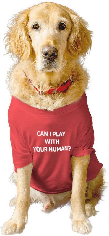 RUSE T-shirt for Dog  ("CAN I PLAY WITH YOUR HUMAN" Printed Tee Gift for Dogs(Poppy Red)S)