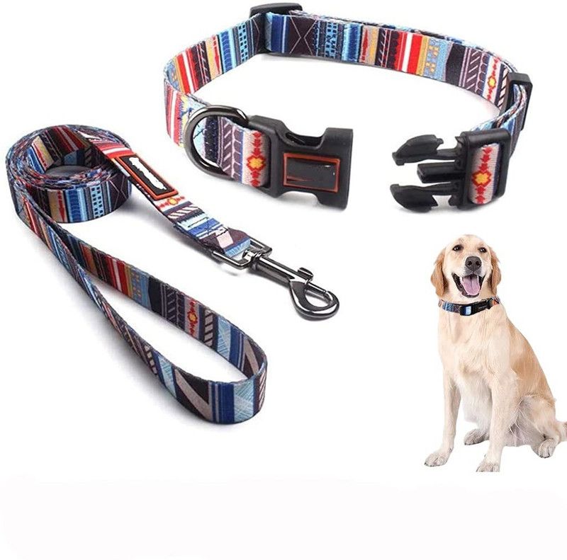 PeToys Nylon Fancy Printing Collar Leash Set 0.50” Dog Collar & Leash  (Large, MULTICOLOR)