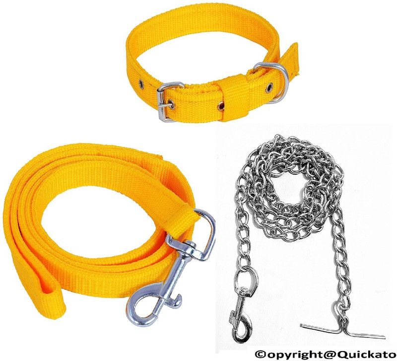 Quickato Good Quality Yellow Belt/Puppy Collar Belt Dog Collar & Leash Steel Chain Dog Collar & Chain  (Medium, Yellow)