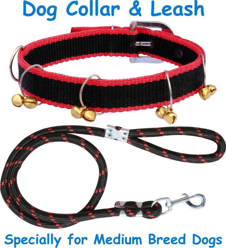 PEDIGONE Dog Belt Combo of Yellow Ghungroo Collar with Blue Lead 1.5m Lengthy Dog Collar & Leash  (Medium, Multi-Color)