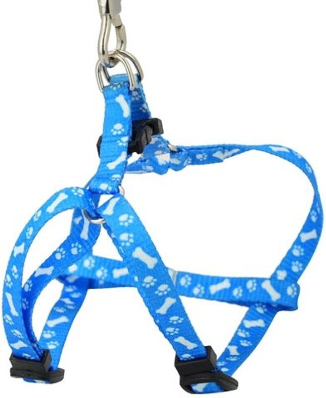 Nema Pet Traction Rope Nylon Leash Harness Chest Collar Drawing Neck Lead Strap Dog Collar & Leash  (Large, Multicolor)