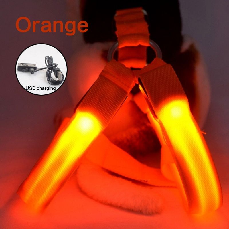 Harness LED Flashing Collar Light Pet  Collar Luminous Leash for s Rope Belt  Harness Vest Puppies Harness no Pull