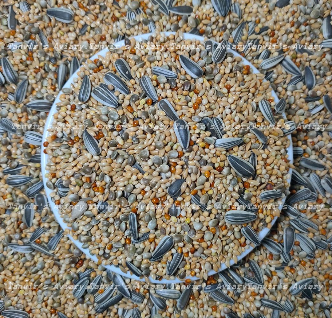 EXPERT Premium Large Parakeet Mix-1kg