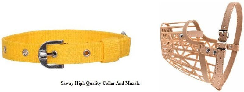 SAWAY Sway Export Quality Dog .Yellow Collar And Muzzle Medium Dog Everyday Collar  (Medium, YELLOW)