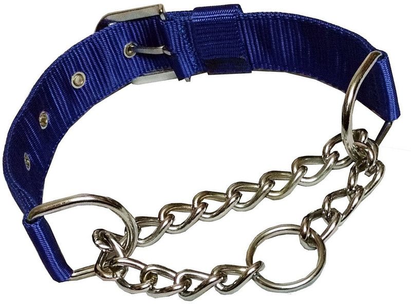 PEDIGONE Dog Everyday Collar  (Medium, Blue)