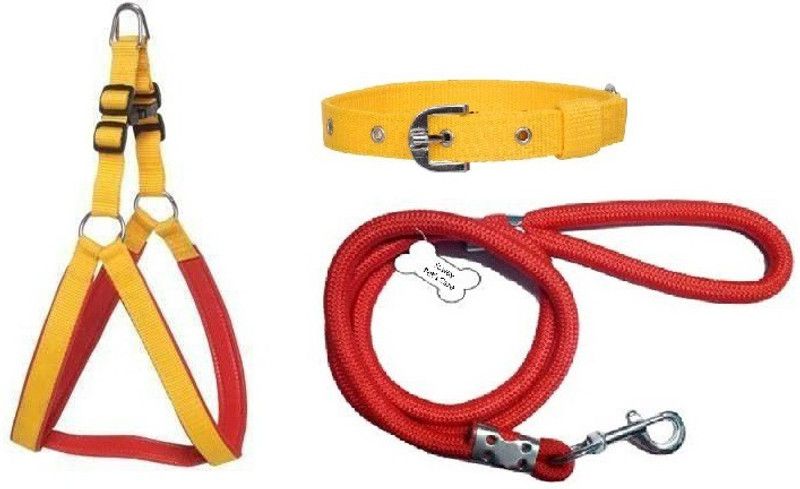 Pet N Perry PetNPerry Export Quality Dog Yellow Collar,Harness & Red Rope Small Dog Harness & Leash  (Small, RED, YELLOW)