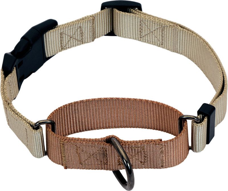 GLUCKLICH Martingale Nylon Collar Dog Collar with Quick release buckle Dog Martingale Collar  (Large, Beige)