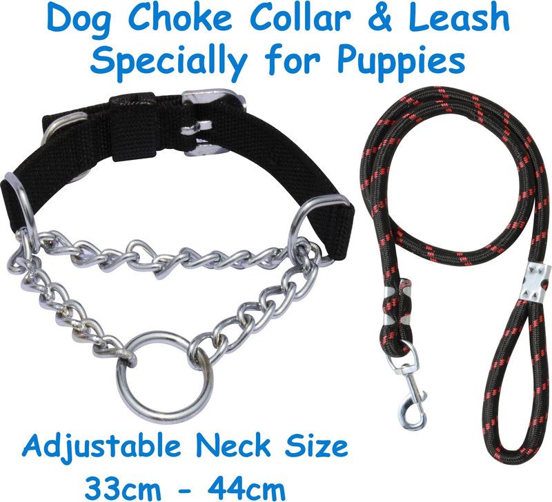 PEDIGONE Dog Belt Combo of Black Dog Choke Collar with Black Lead Specially for Puppies Dog Collar & Leash  (Small, Black)