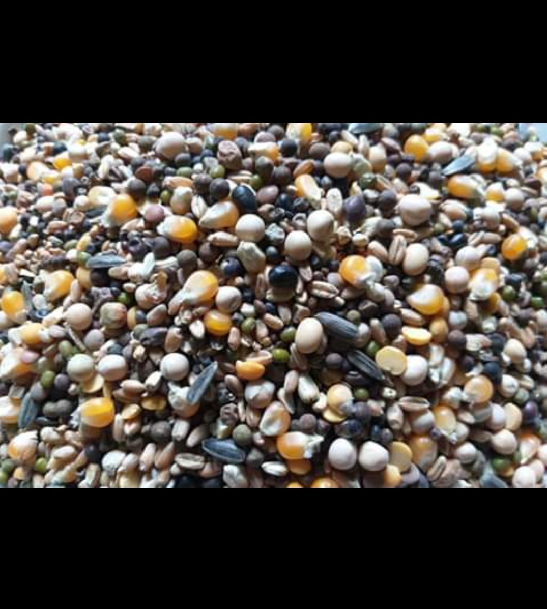 Race Feed Recipe For Racing Pigeons With Soya Been Seeds and Many More 5kg