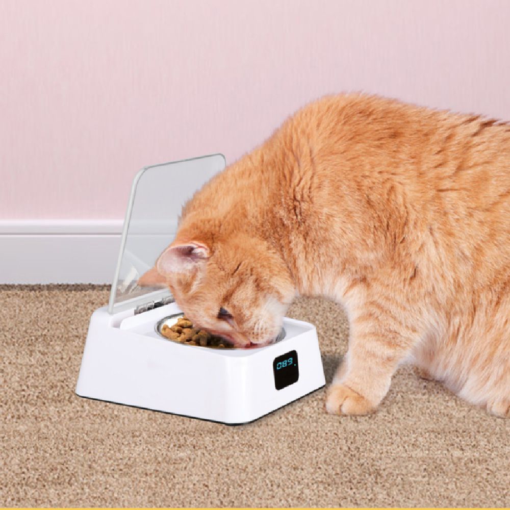 Dog Automatic induction Bowl Stainless Steel Pet Induction Feeder Cat Infrared Induction Feeder USB Charging Automatic Sensing Feeder for Dogs Cats