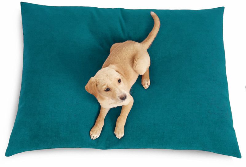Prazuchi - Handcrafted Perfection B07G41F9CL-Luxury Waterproof Dog Bed for All Breeds L Pet Bed  (Teal)