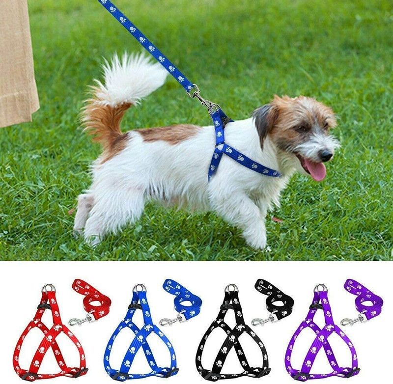 Sip 1 pcs 15 mm Paw Print Leash and Harness Set for Small ,Medium Puppy Dog & Cat Harness & Leash  (Extra Small, MULTICOLOR)