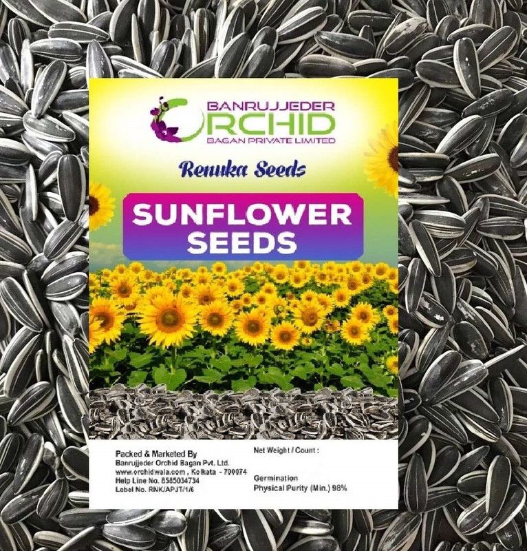 RENUKA SEEDS Sunflower Seeds BIrd Food 5 KG Refill Pack 5 kg Dry Adult, Young, Senior Bird Food