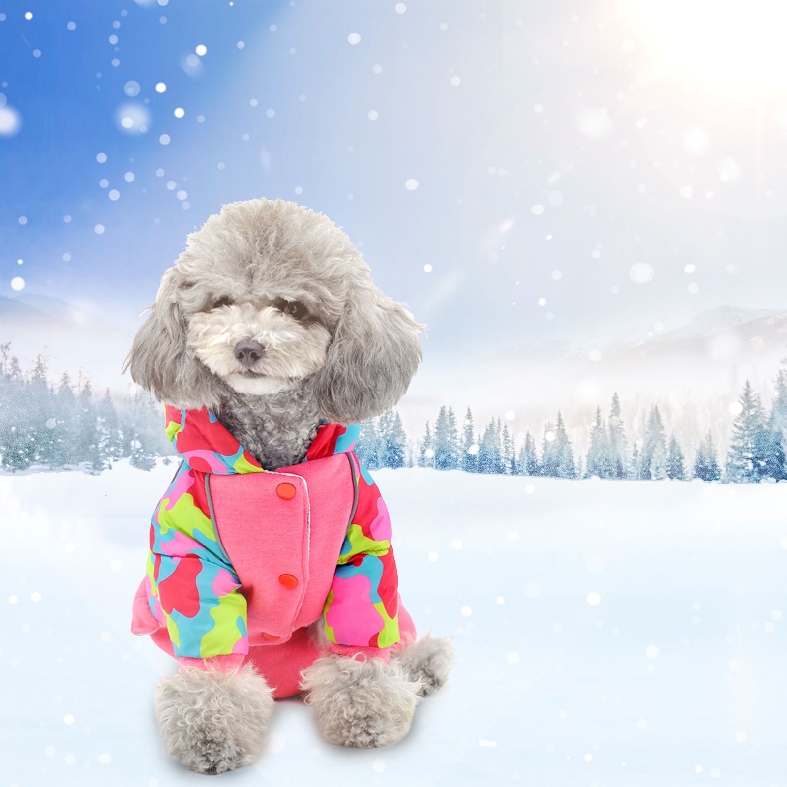 Dog Clothes Waterproof Pet Coat with Hat Winter Dog Outfits Warm Dog Apparel Soft Windproof for Small Medium Large Dogs Pet Fall Clothes Fashionable