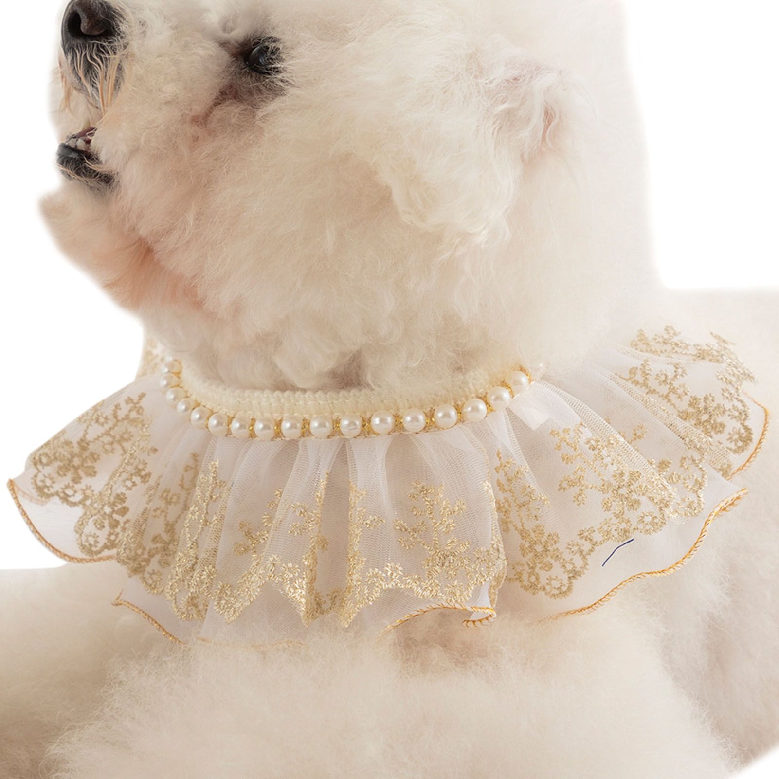 Le Pet Collar No Deformation Le Pet Girlish Collar with Artificial Pearls