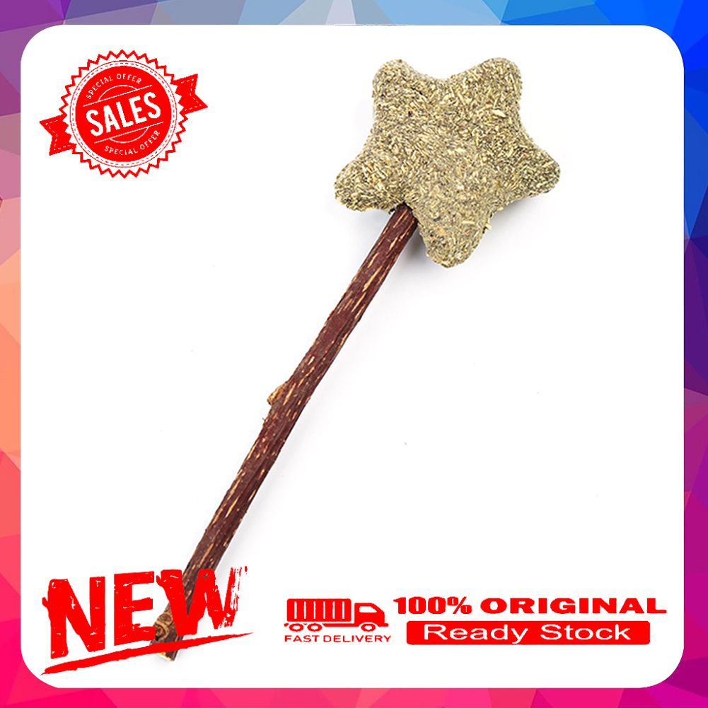 Vist Fox Pet Cat Kitten Star Claw Bear Head Shape Catnip Silvervine Molar Play Chew Toy