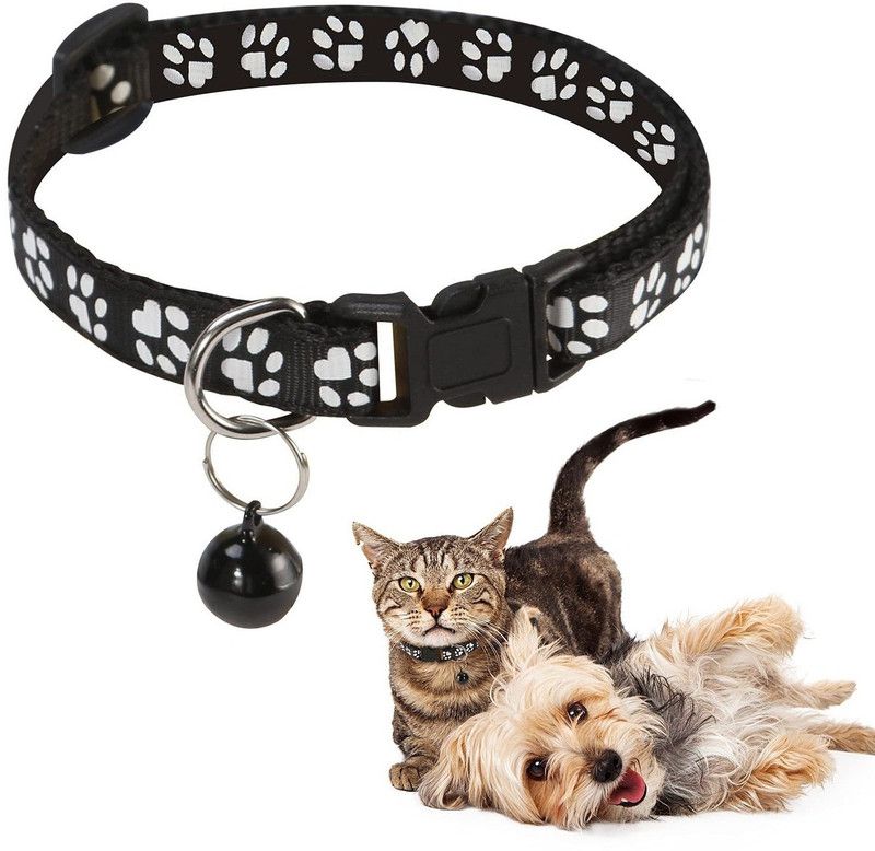 Hachiko Cat Everyday Collar  (Small, Black)