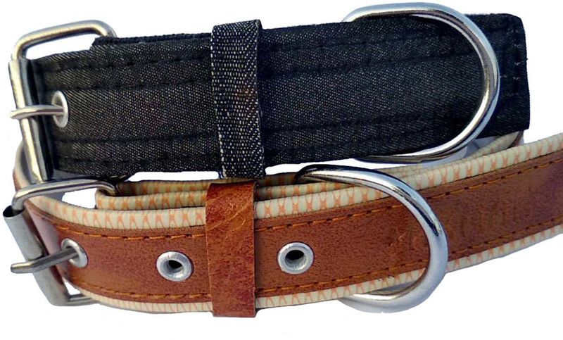 Peto lovers Dog Everyday Collar  (Small, Black, Tan)