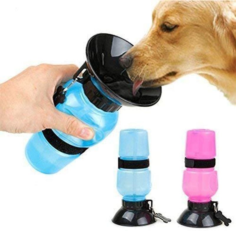 DOGTOWN Cylindrical Shape Plastic Pet Bottle  (0.5 L Blue)