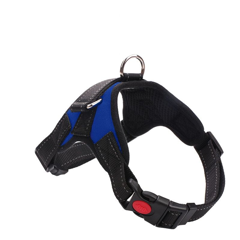 Harness and Leash Set  Leads  Harness Pet Supplies  Collar s Pets Accessories  Chain Personalised  Collar