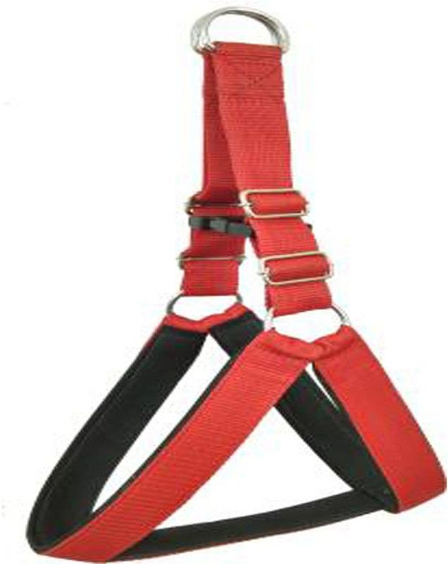 DSW Dog Harness & Leash  (Medium, Red)