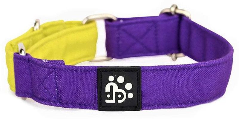 DearPet Dog Martingale Collar  (Small, Purple, Lime)
