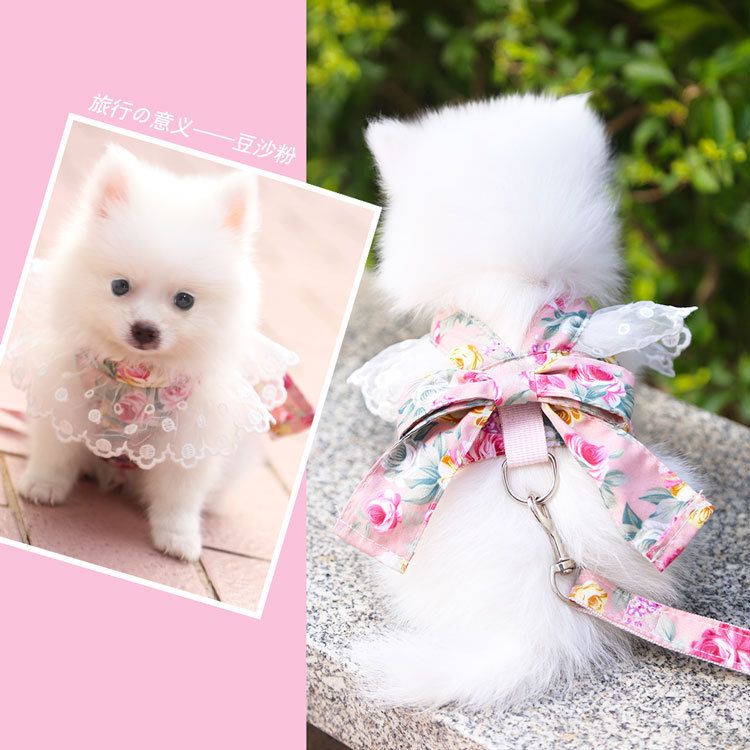 Cute Bow-knot Small  Harness Vest Leash Suit Arnes Perro Pequeño Pitbull Puppy Harness Pet Accessories s Products For Pets