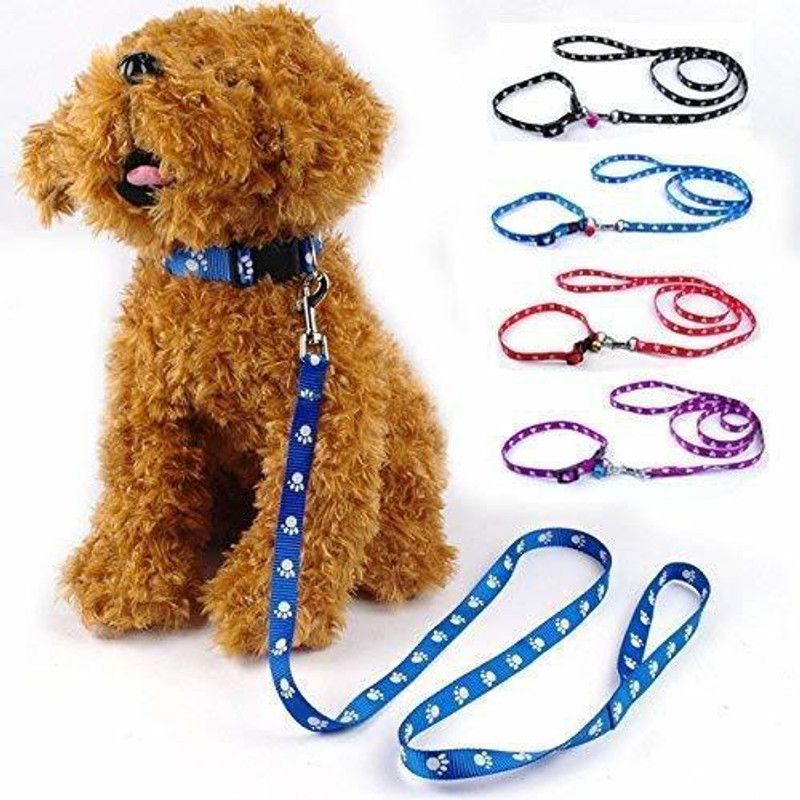 Sip Nylon Paw Print 10MM Collar Set for Puppies small Dog & Cat Collar & Leash  (Extra Small, MULTICOLOR)