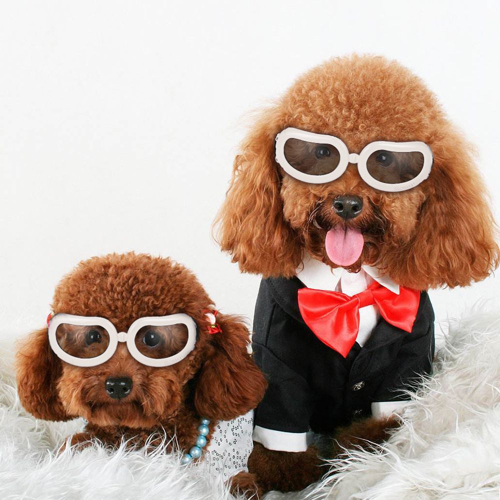 Pet Goggles Small Dog Sunglasses Anti-Fog Anti-wind Glasses Eye Protector Waterproof Skiing Sun UV Protection Safety Goggles with Adjustable Straps For Dogs or Cats
