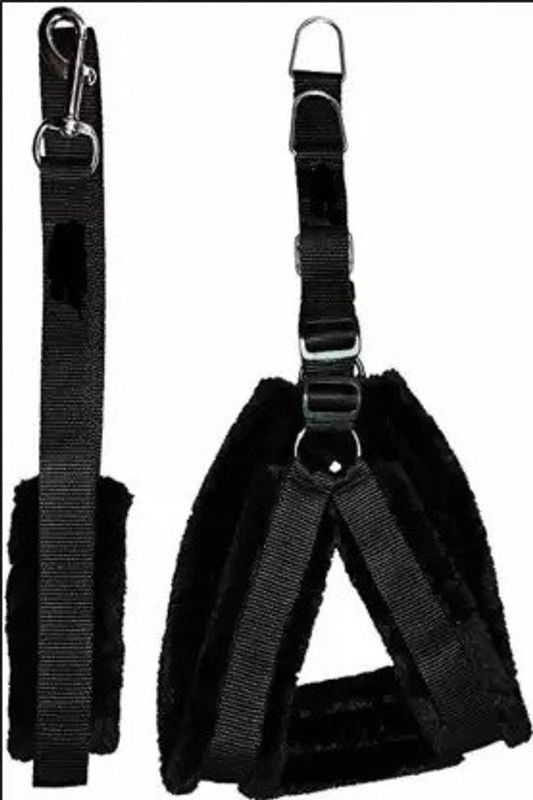 Hundur Store Dog Harness & Leash  (Large, Black)