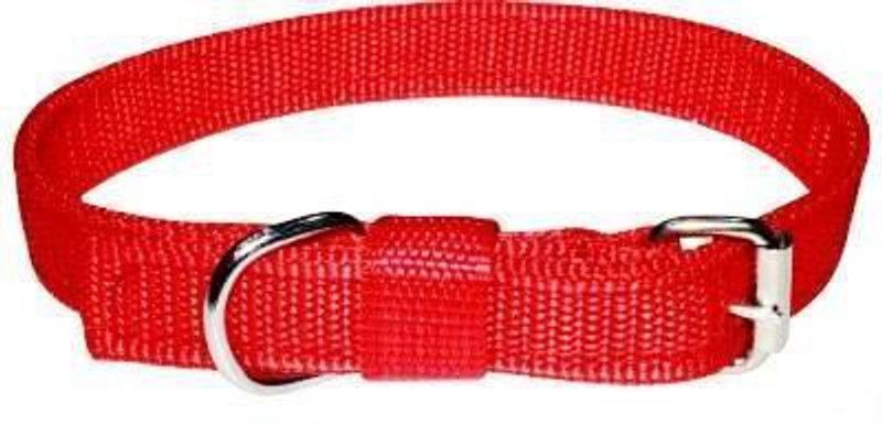 ANIKH Dog Everyday Collar  (Extra Large, RED)