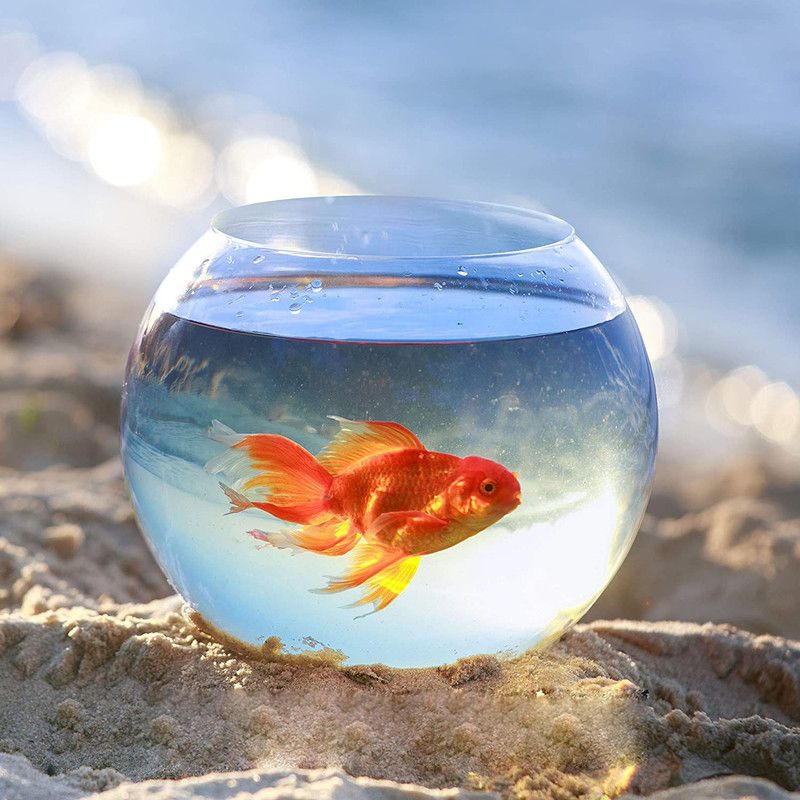 ATLOYAL 3 L Fish Bowl