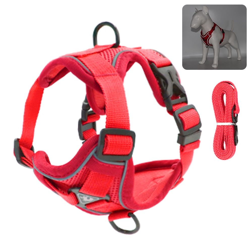 Front Range  Harness No Pull Adjustable Reflective Nylon Padded  Harness and Leash Pet Safety Vehicular Leads for