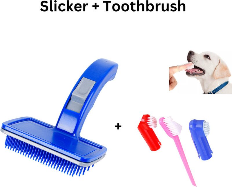 Regiis Dog Everyday Kit ( Brush + Toothbrush ) Basic Comb for Dog, Cat