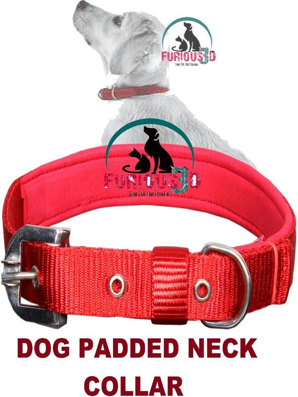Furious3D Imported Best High Quality Dog Padded Collar (Medium, Red) Dog Everyday Collar  (Medium, Red)