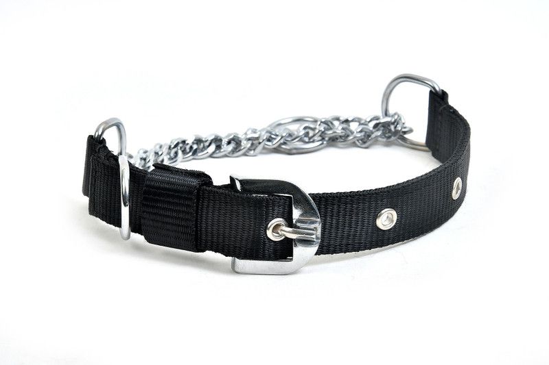 Petwell Dog Everyday Collar  (Medium, Black)