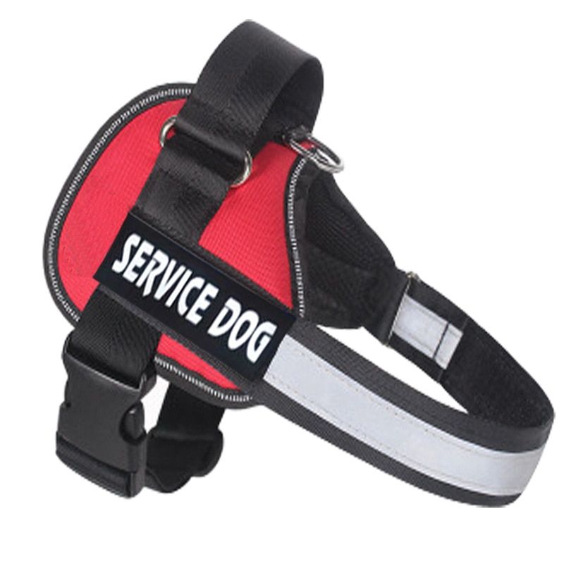 Reflective Nylon  Harness Adjustable Personalized  Harness with Name Tags Small Medium Large  Pet Harness Vest