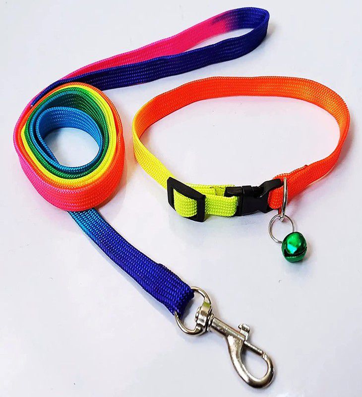 WROSHLER Good Quality Nylon 1/2 inch Rainbow Color Cat & Puppy Collar Belt/Puppy Belt Dog & Cat Collar & Leash  (Extra Small, Multi-Color)