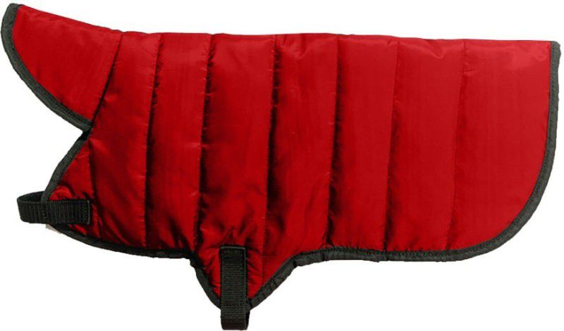 Payton Perry Winter Jacket for Dog  (Red)