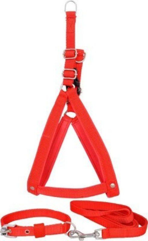 DSW Dog Harness & Leash  (Small, Red)