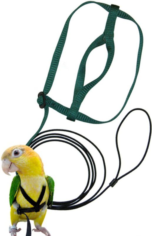 Sage Square Bird Harness Adjustable Durable Safe for Training for Medium Birds /Parrot Bird Standard Harness  (Medium, Multicolor)