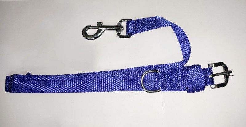 chansai Premium Quality Dog Nylon cord, 1.1/3 inch nylon set(Blue) 152 cm Dog Cord Leash  (Blue)
