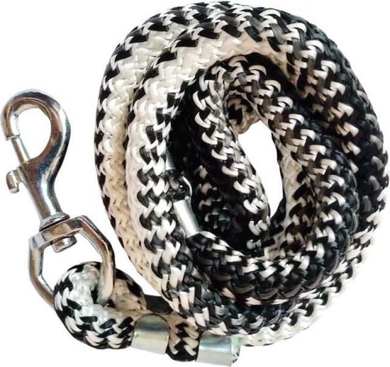 SAWAY High Full Nylon Dog Rope Soft Nylon 1.75 cm Dog Martingale Leash  (Black, White)