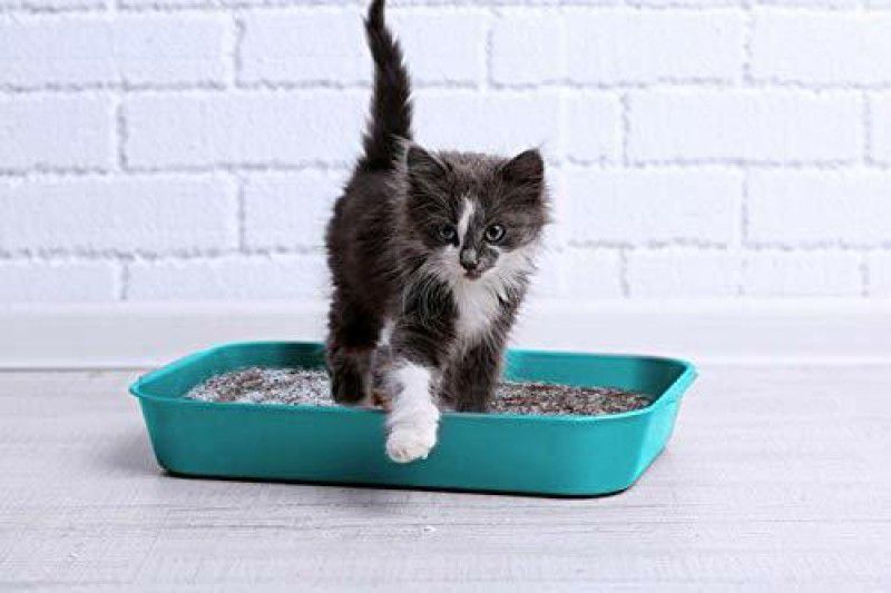 Mats Avenue Naturally Extracted Cat Litter Soil for Filling Cat Litter Tray Chemical Free Pet Litter Tray Refill